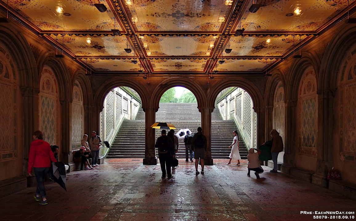 58079CrLe4Usm - New York vacation - Walkabout in Central Park